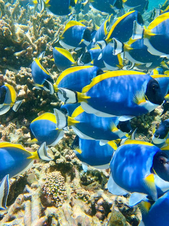 Reef Edge Thulusdhoo, Maldives Hotel Luaran gambar
